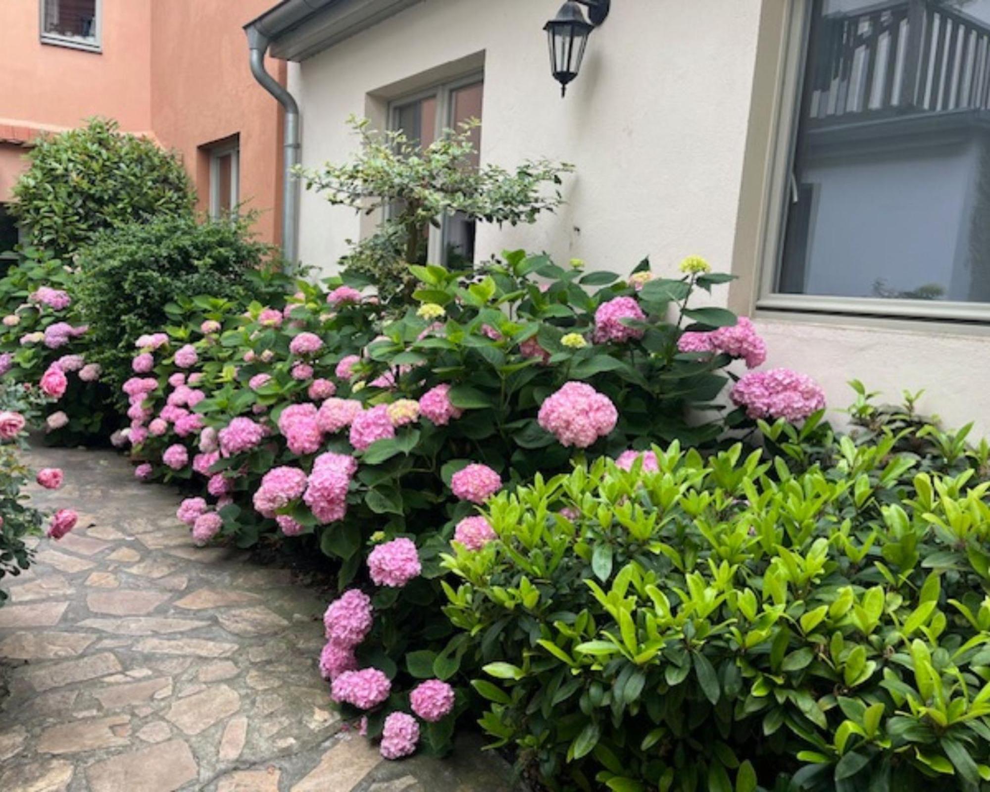 Altstadt-Quartier Stendal Luaran gambar